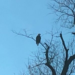 Meet your Posher, Clint